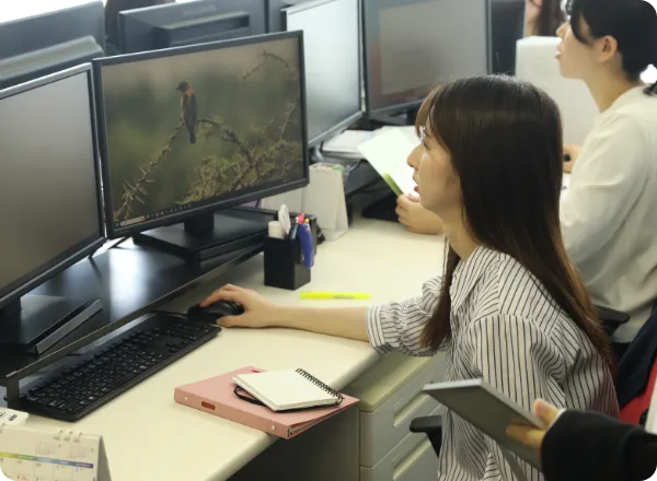 マルチディスプレイのデスク環境で、画面に向かってパソコン作業をする女性社員